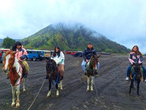 Bromo tour from bali